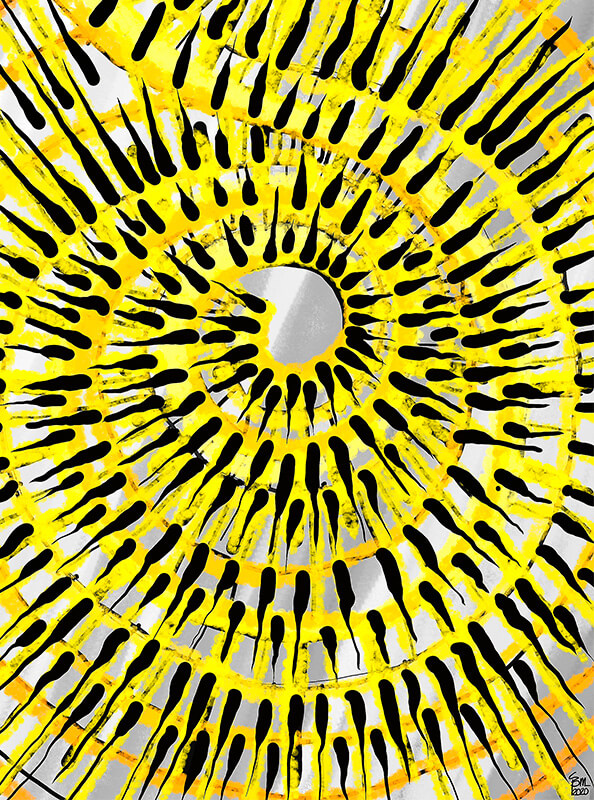 Cuadro espiral en amarillos y negros de Javier Suances